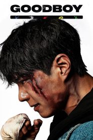 Good Boy (2025) S01 – Ep: 01-06 – Dual Audio [Hindi-Korean] AMZN WEB-DL – Full Series Download & Watch FREE – MRBOBD.COM
