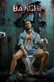 Baaghi 4 (2025) – WEB-DL H264 AAC 1080p 720p 480p Download & Watch FREE